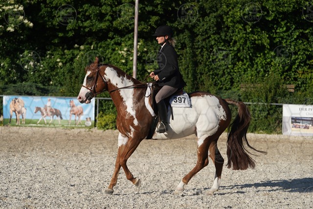 sA9K06116.JPG